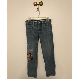 Anthropologie Pilcro and the Letterpress Slim Boyfriend Embroidered Jeans